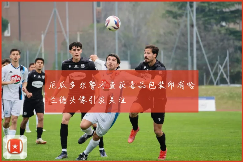 厄瓜多尔警方查获毒品包装印有哈兰德头像引发关注